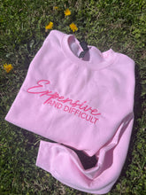 Load image into Gallery viewer, Expensive &amp; Difficult Embroidered Pullover
