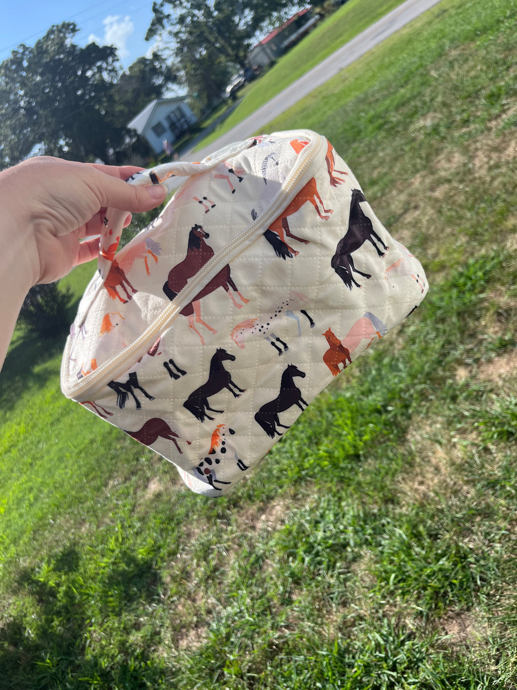 All The Horses Cosmetic Bag