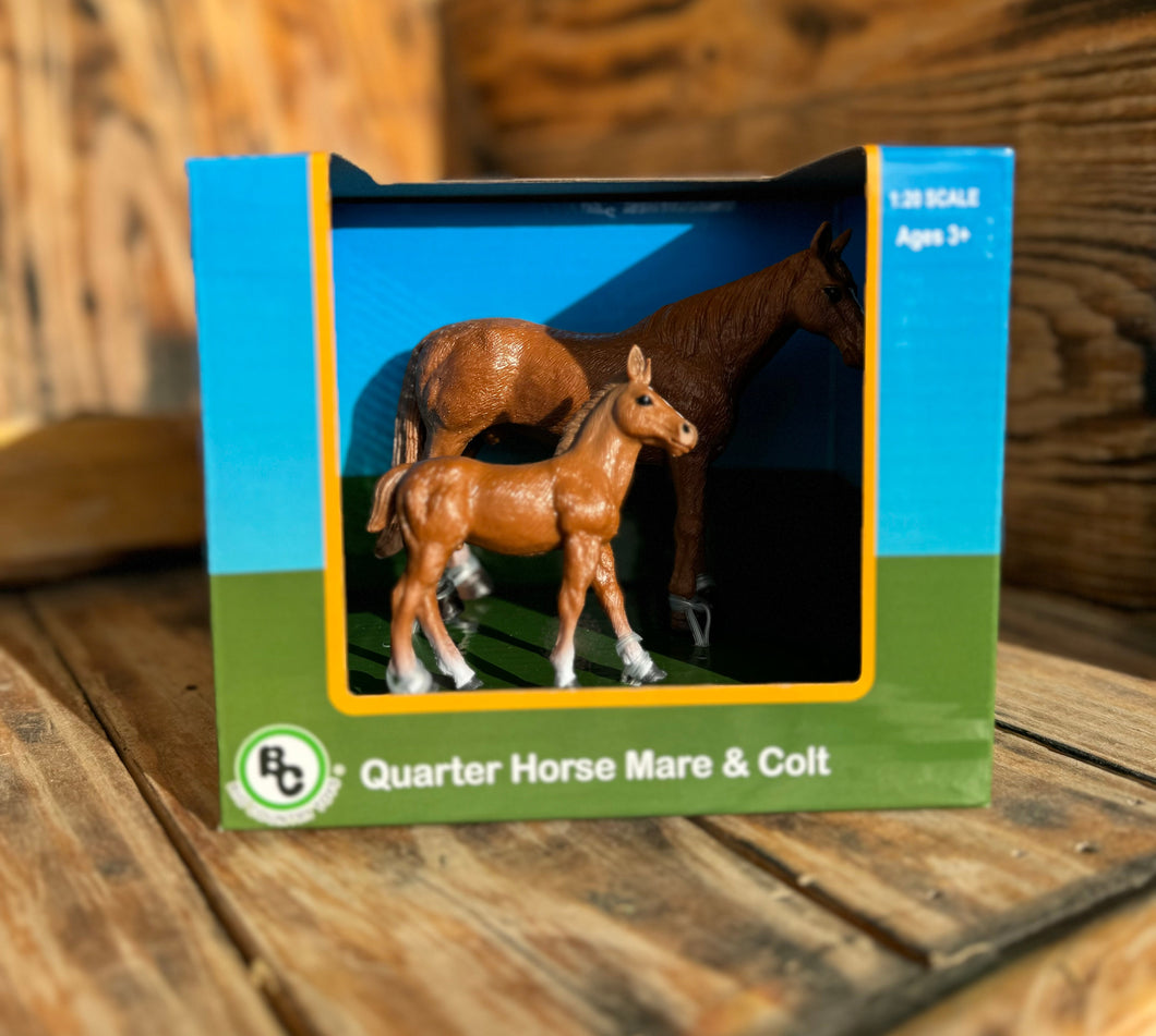 Quarter Horse Mare/Colt Set